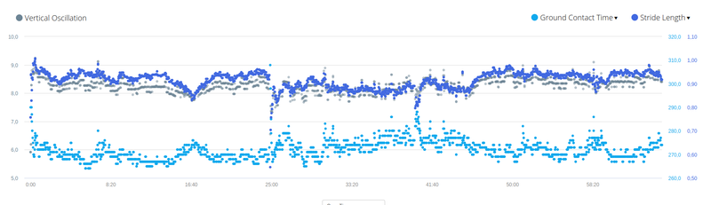 barefoot running dynamics